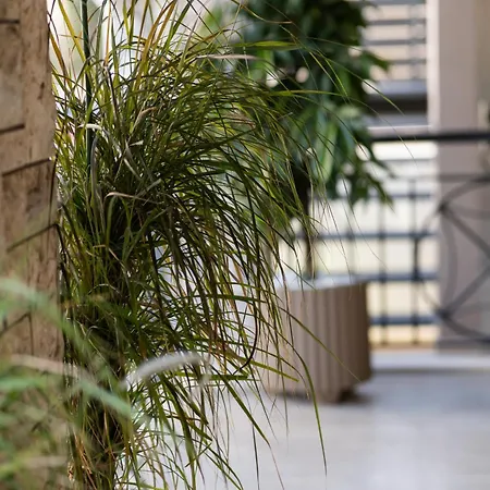 La Terra Nostra Appartement