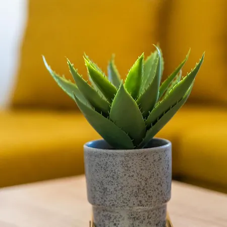 La Terra Nostra Daire *