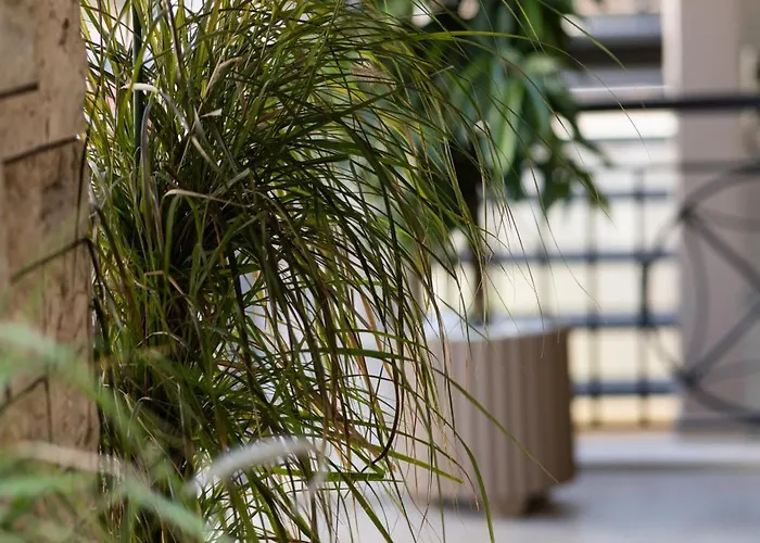 La Terra Nostra Διαμέρισμα