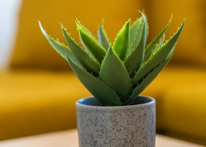 La Terra Nostra Apartamento *