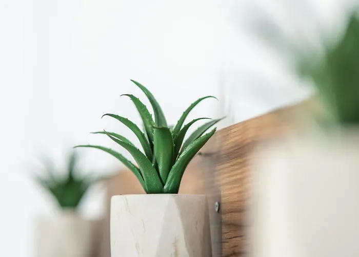 La Terra Nostra Apartamento